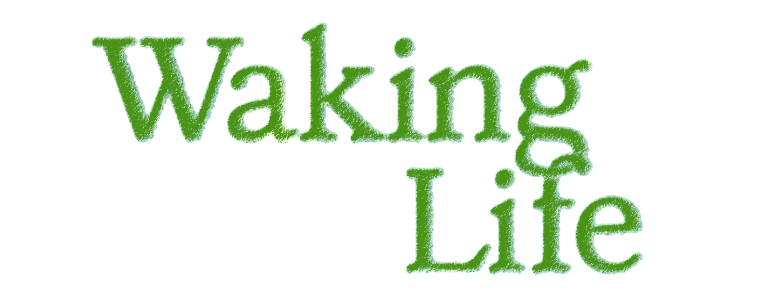 WALKING LIFE